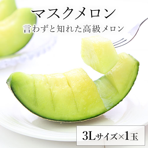 【健康雑穀くらぶ】九州産 マスクメロン 大玉3Lサイズ× 1玉　《7-14営業日以内に出荷予定 土日祝日除く》