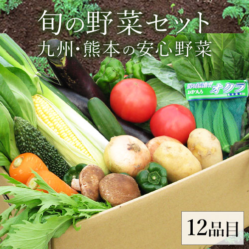 【健康雑穀くらぶ】自家用野菜セット《7-14営業日以内に出荷 土日祝日除く》