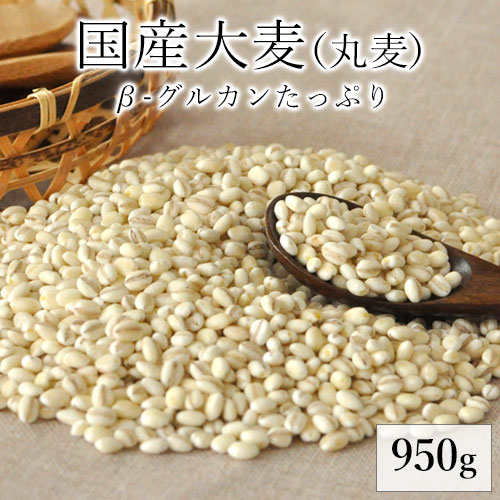【健康雑穀くらぶ】国産大麦 （丸麦）950g《3～7営業日以内に出荷 土日祝除く》