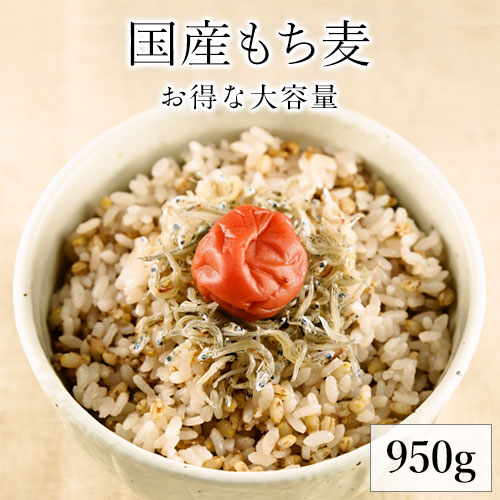 【健康雑穀くらぶ】もち麦 国産 950g《3-7営業日以内に出荷予定 土日祝日除く》